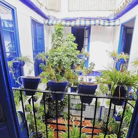 Konukevi The Dreamers&co 3*